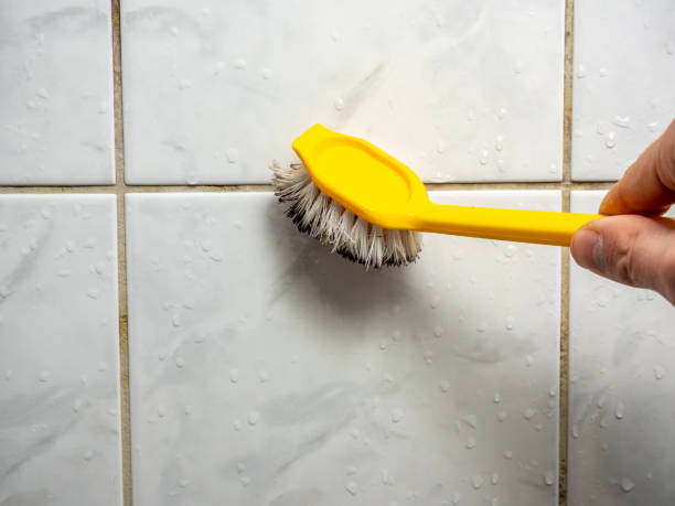 Best Office Mold Removal Services  in Swissvale, PA