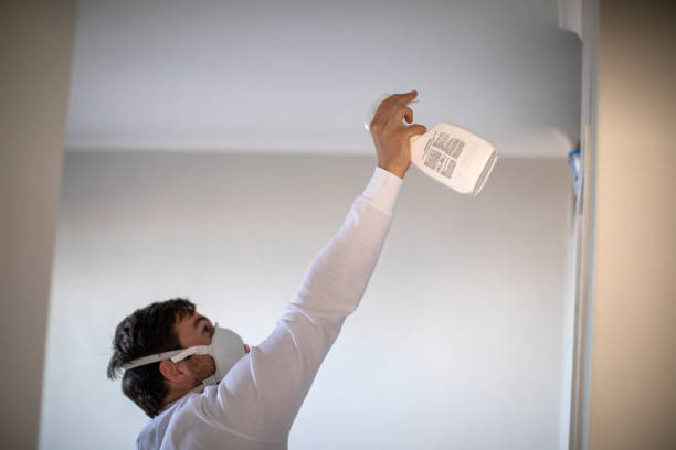 Best Water Damage Restoration  in Swissvale, PA